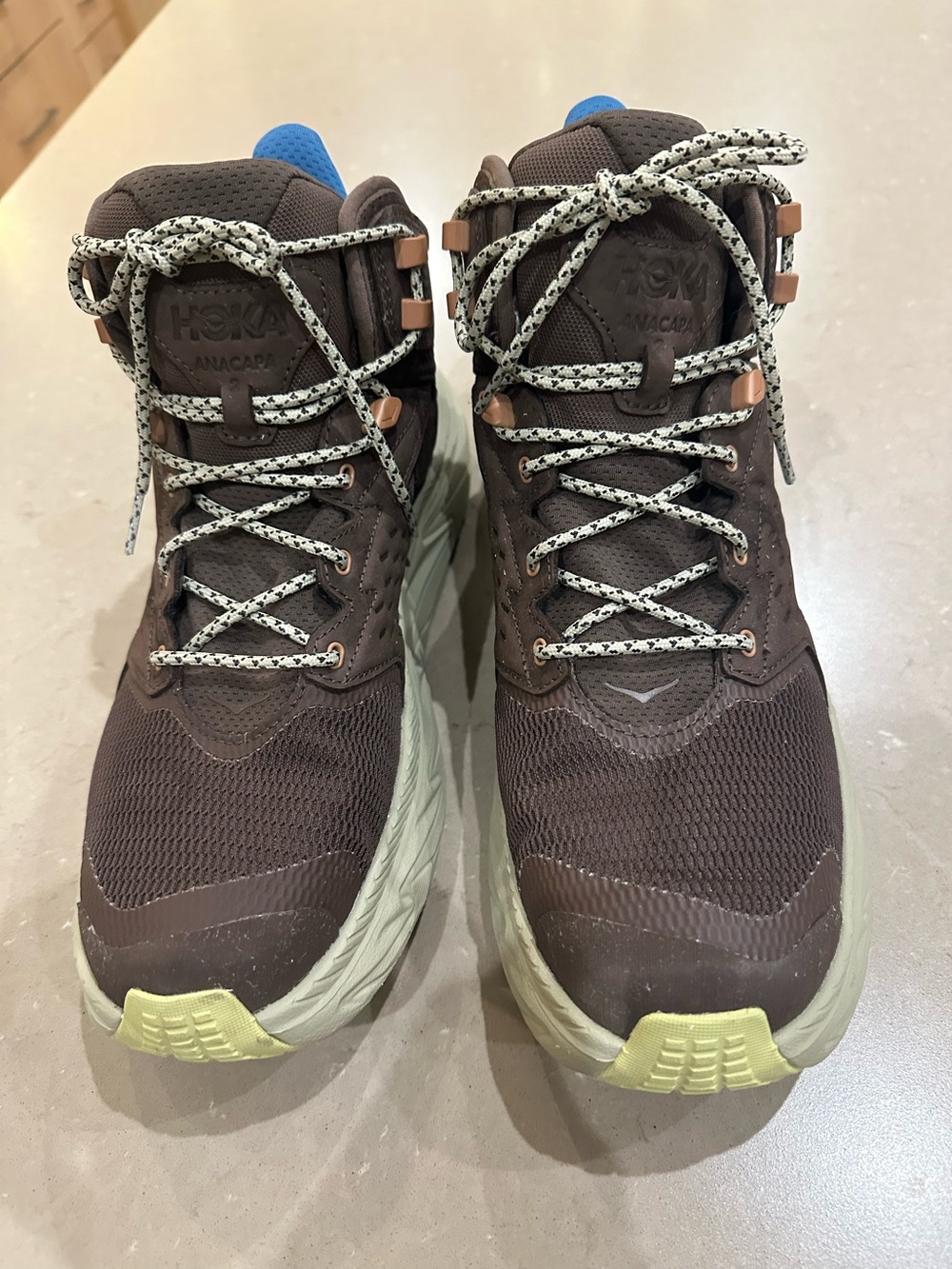 HOKA Men's Anacapa 2 Mid GTX Hiking Boots